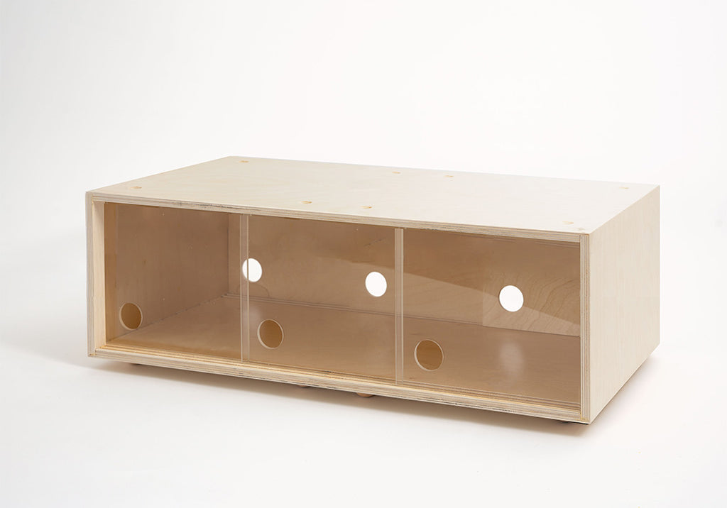 Stereocab-2-Cubes-Wide_Birch-Feet-Divots_clear-1024_6d093367-e090-4aeb-a294-31dbbae49361.jpg
