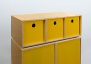 45 Cabinet - Birch