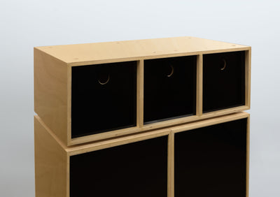45 Cabinet - Birch